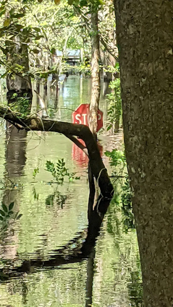 Stop Sign In A Flood :)