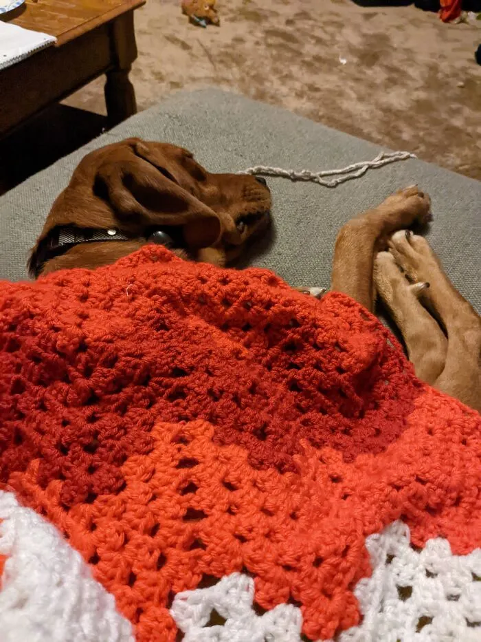 He Knew I Was Feeling Sad And Refused To Move While I Worked On My Nephew's Blanket