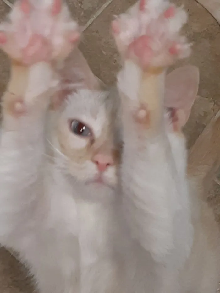 Sunny Wants A Hug