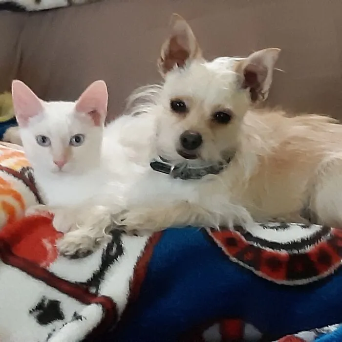Friends