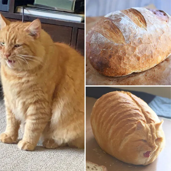 Midjourney AI Can Now Conjoin 2 Photos, And Here Are Some Of The Test Results Shared By A Telegram User (40 Pics)