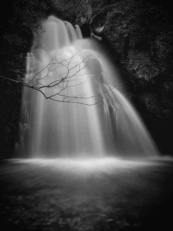 Landscapes And Wildlife, 1st Place: Holy Stream By Shinya Itahana