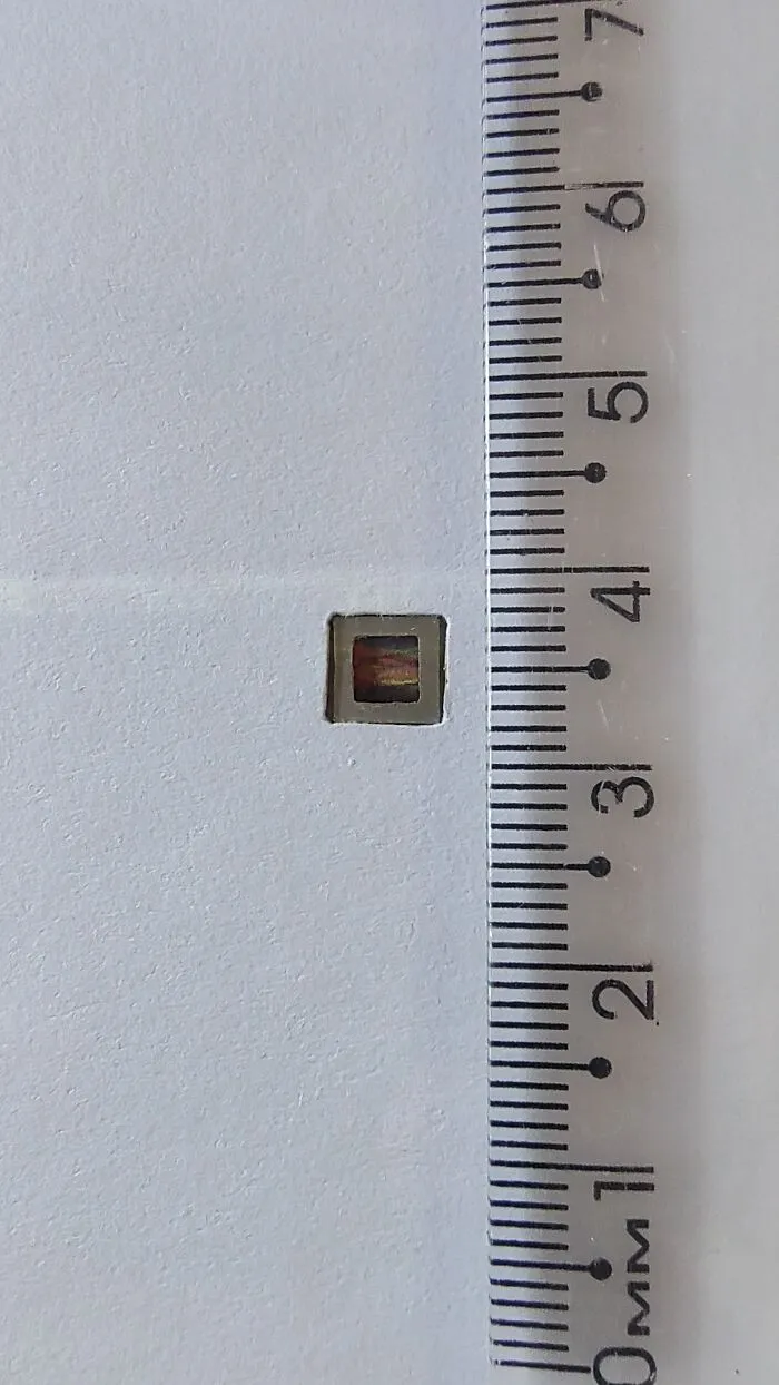 I Create Tiniest Paintings In The World (11 Pics)