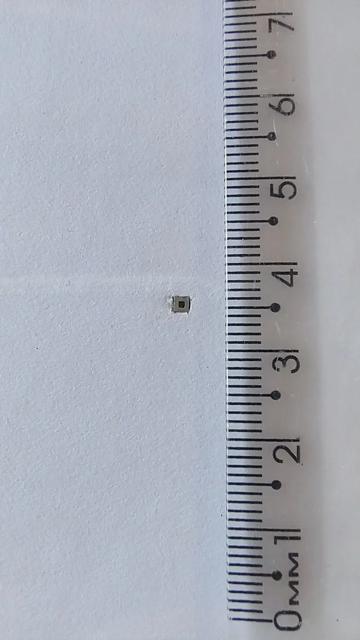 I Create Tiniest Paintings In The World (11 Pics)