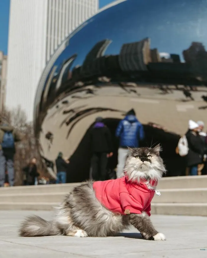 Chicago, Illinois