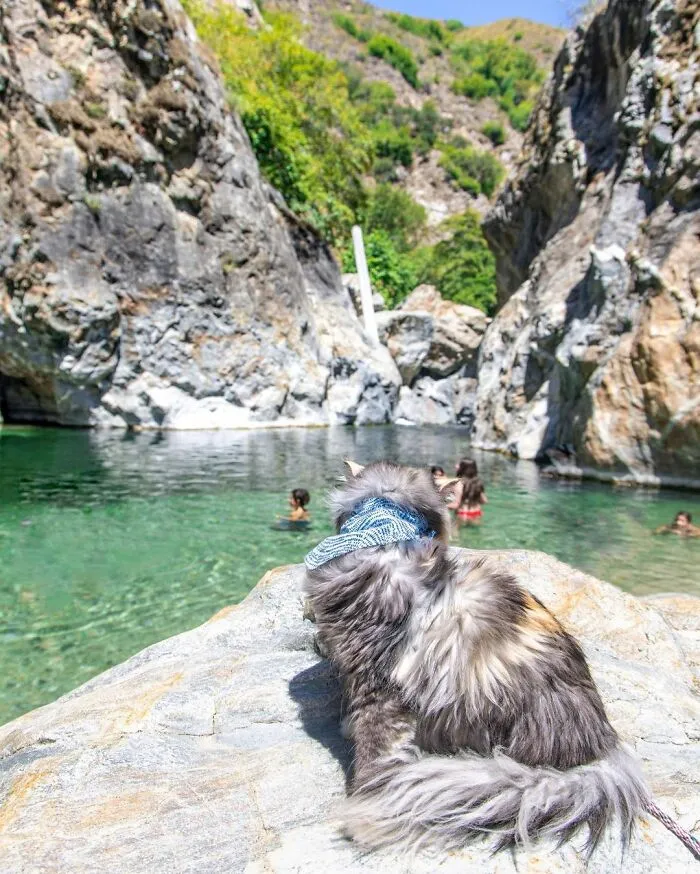 Big Sur, Pacific Coast Highway