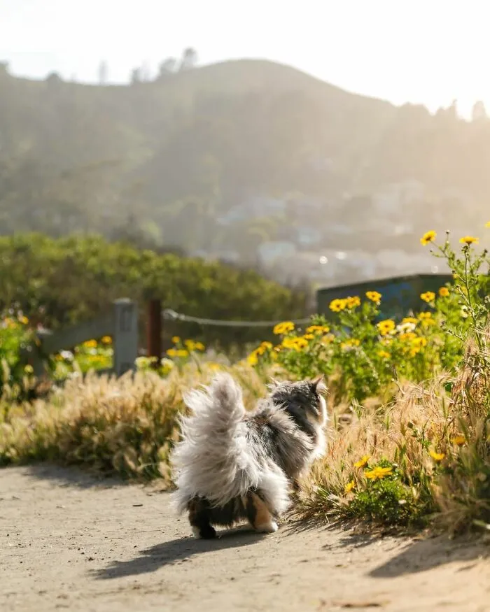 Pacifica, California