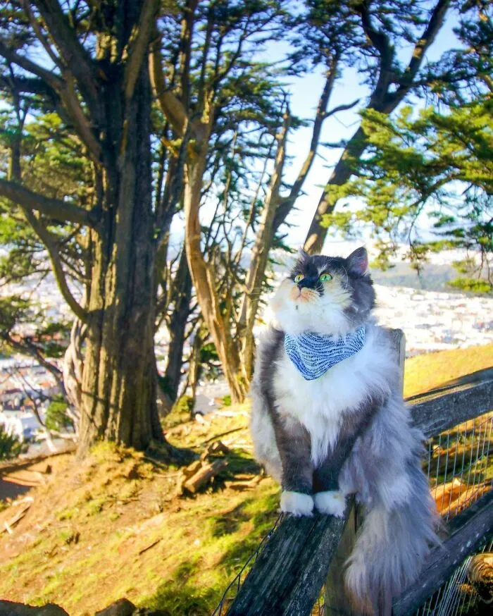 Grand View Park