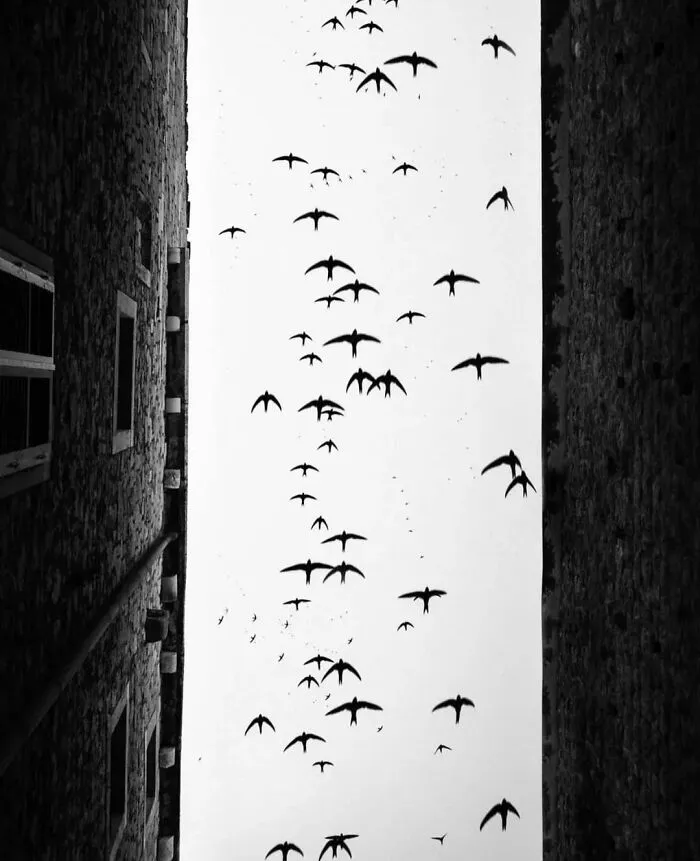 40 Fotos callejeras que captan encuentros fortuitos en lugares públicos