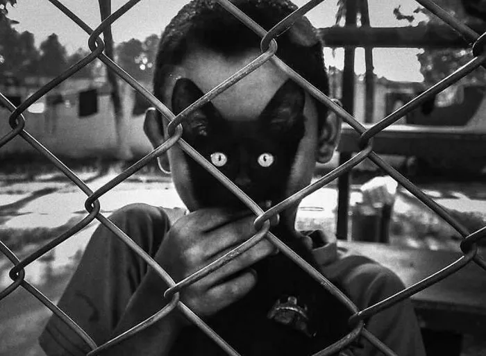 40 Fotos callejeras que captan encuentros fortuitos en lugares públicos