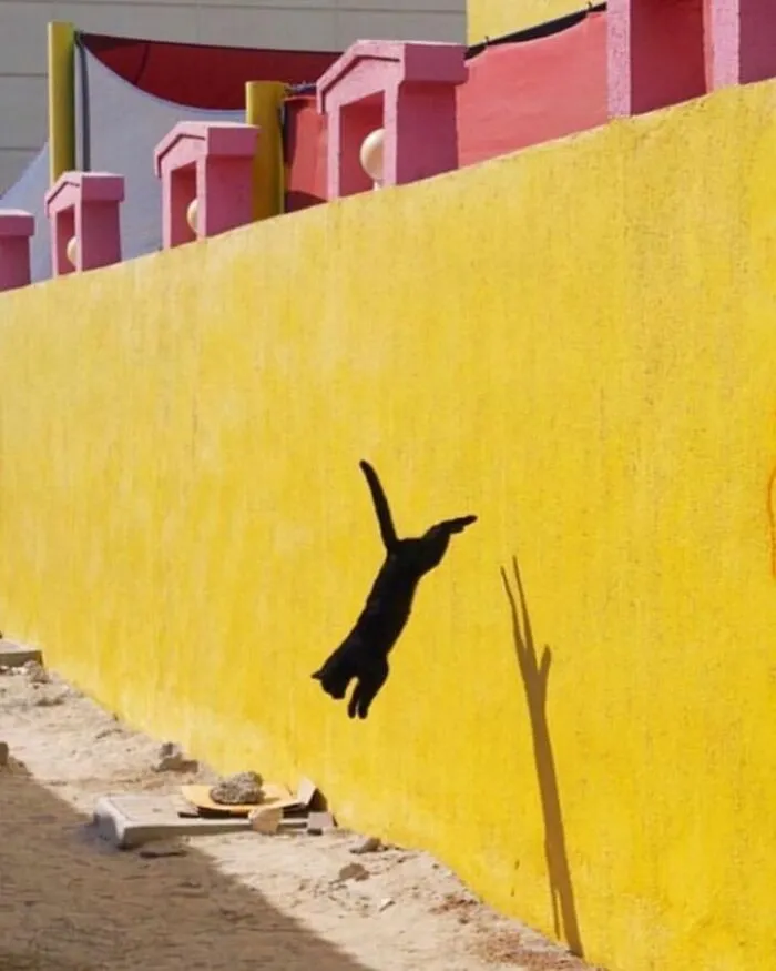 40 Fotos callejeras que captan encuentros fortuitos en lugares públicos