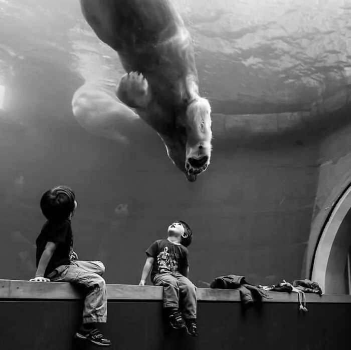 40 Fotos callejeras que captan encuentros fortuitos en lugares públicos