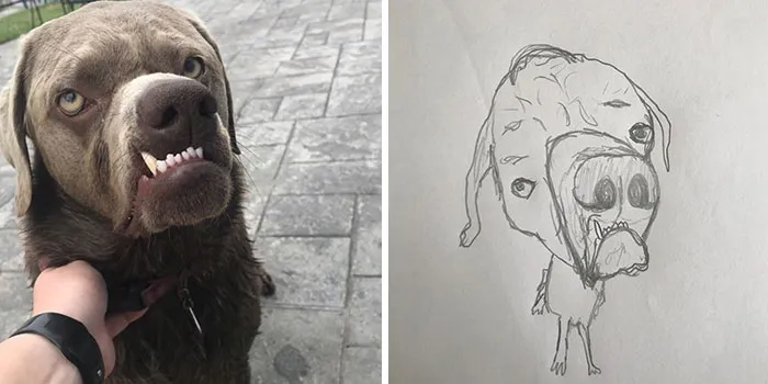 This Guy Gives His Followers’ Profile Pics A Hilarious Makeover With His Drawings (40 Pics)