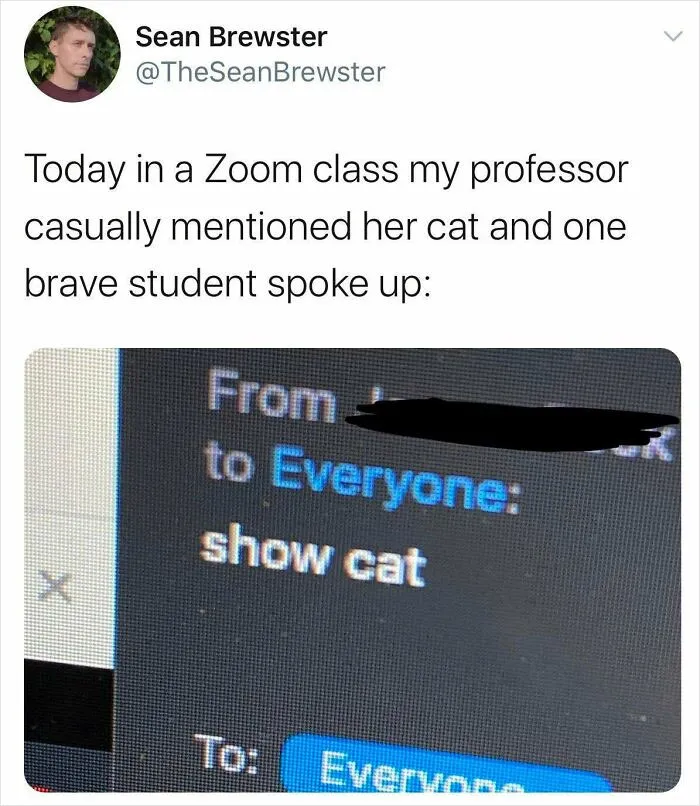 Show Cat