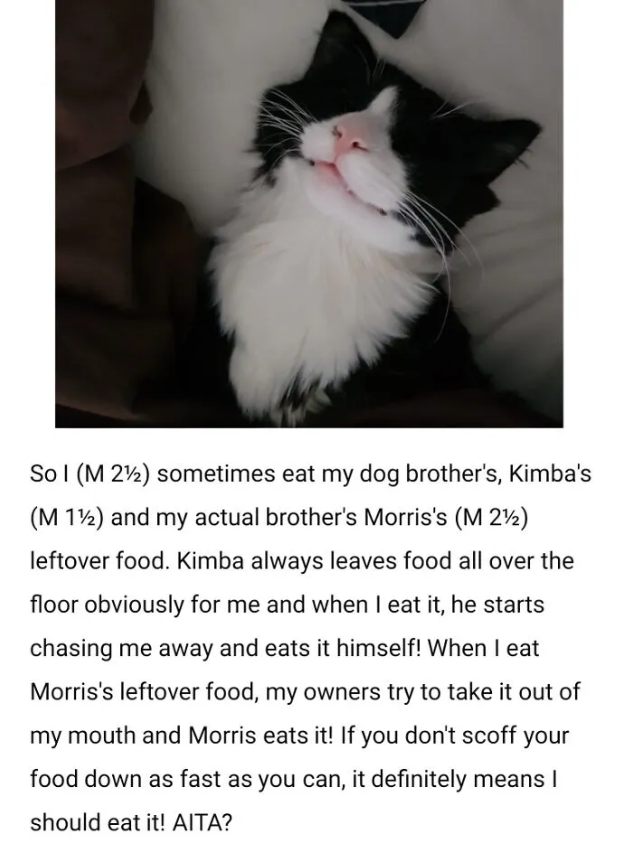 Aita For Eating My Brothers' Leftover Food?
