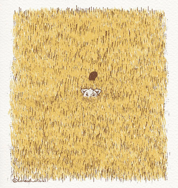 I'm Sure You Will Never Find Me!