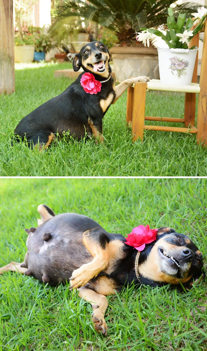 She Had Her Maternity Photoshoot