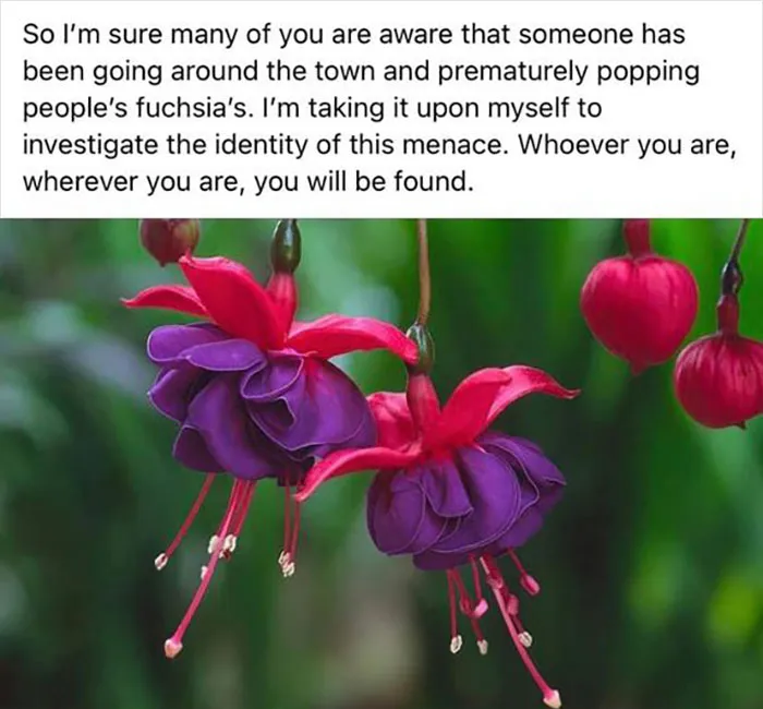 50 Times People Spotted Such Angry And Delusional Posts In Their Local Facebook Groups, They Just Had To Shame Them