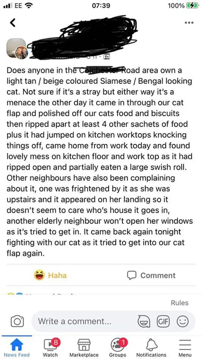 50 Times People Spotted Such Angry And Delusional Posts In Their Local Facebook Groups, They Just Had To Shame Them