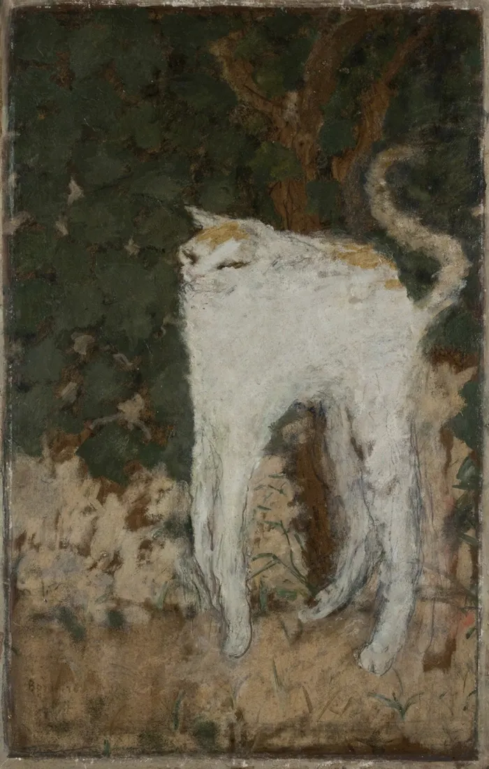 Le Chat Blanc (1894) By Pierre Bonnard