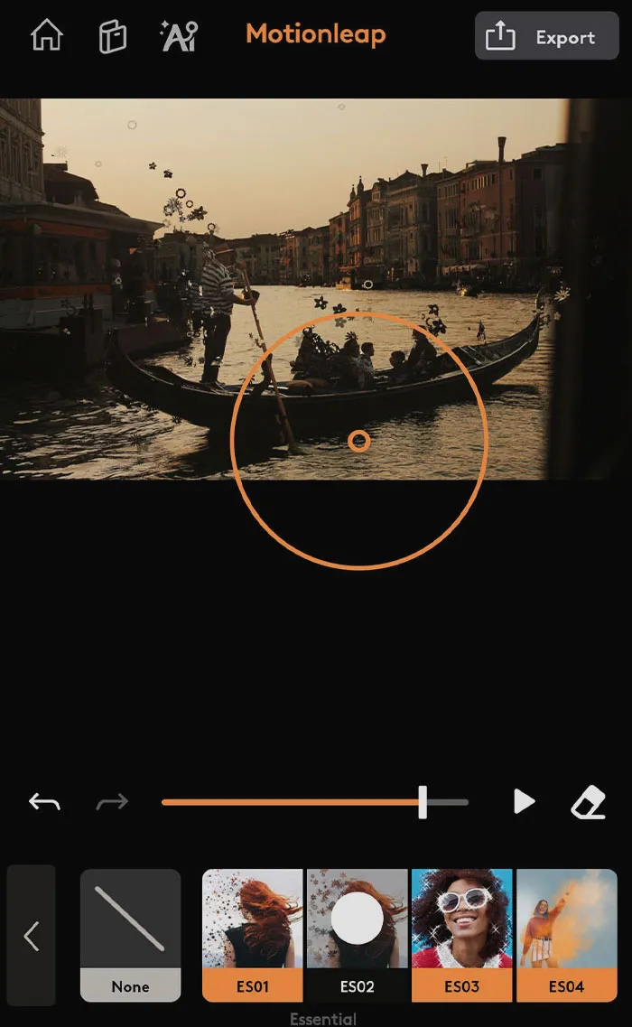 Motionleap (Formerly Pixaloop)