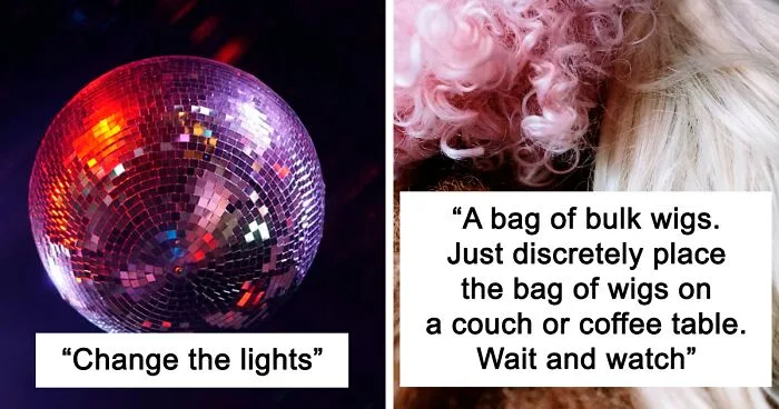 30 Party Hosts Share Their Knowledge On How To Throw A Party That's Fun For Everyone