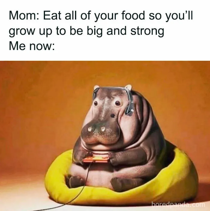 50 Of The Funniest Weight Loss And Diet Memes Because The Struggle Is Real
