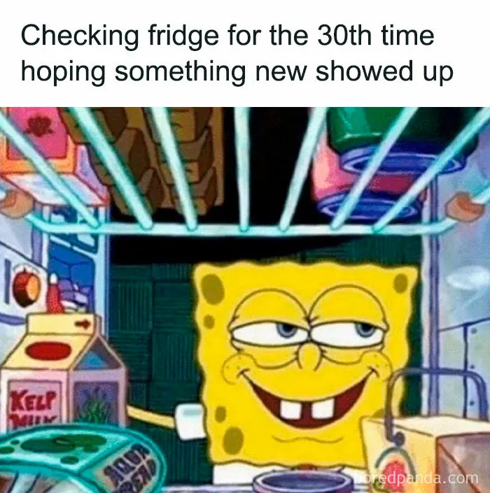 50 Of The Funniest Weight Loss And Diet Memes Because The Struggle Is Real