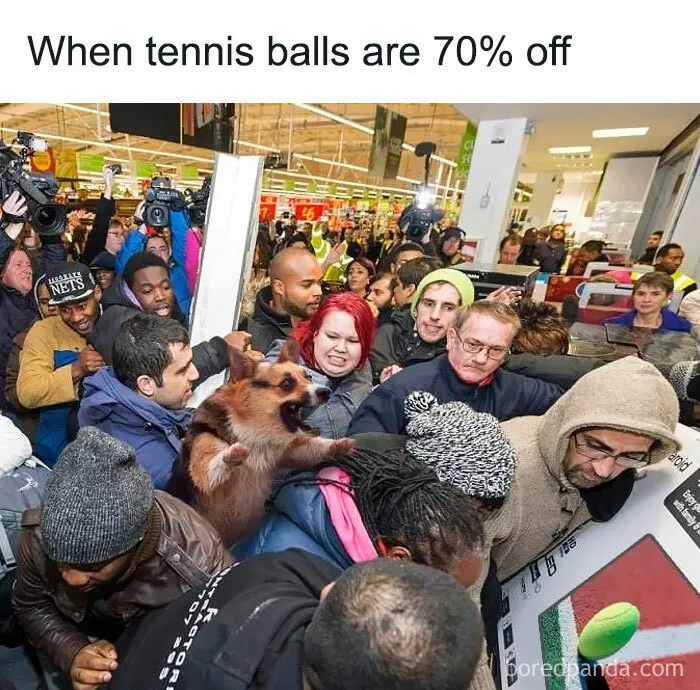 40 Of The Best Black Friday Memes To Laugh At After You're Done With Your Shopping Spree
