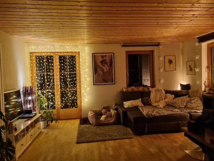 Definitely My Living Room. Christmas Lights Are Up All Year ✨️