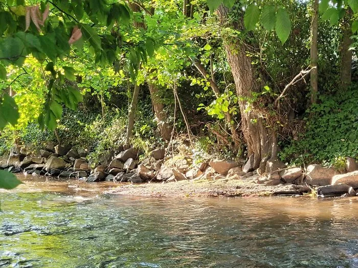 This Little Place Under The Tree :) ..it Used To Be My Safe Place - Today It's My Happy Place ♡