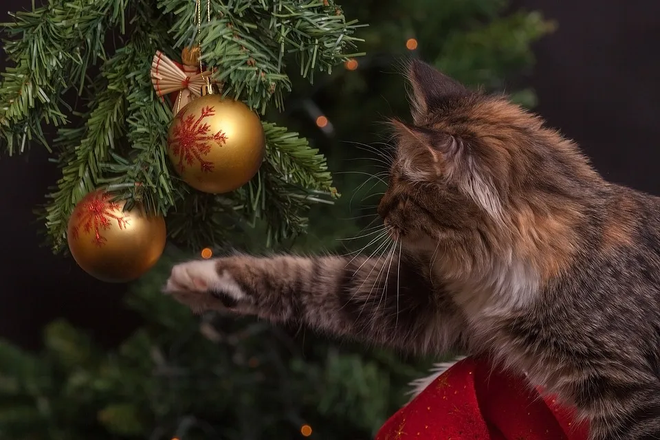 A Gorgeous Christmas Tree With Red Glass Balls And Light Garlands Peeks Out From The Branches With A Cat Wearing A Santa Hat.