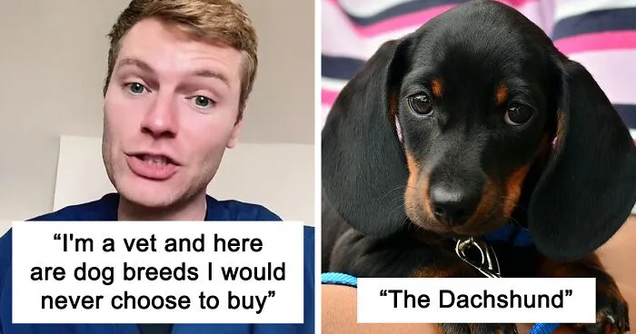 Veterinary Surgeon Reveals Cat And Dog Breeds He'd Never Buy And Explains Why