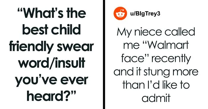 45 Of The Most Amusing Child-Friendly Insults That Members Of This Online Group Couldn't Resist Sharing With Others