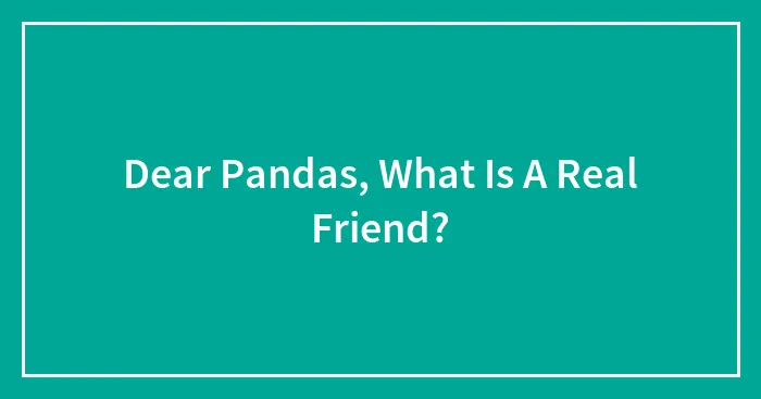 Dear Pandas, What Is A Real Friend?