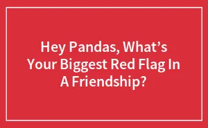Hey Pandas, What’s Your Biggest Red Flag In A Friendship?