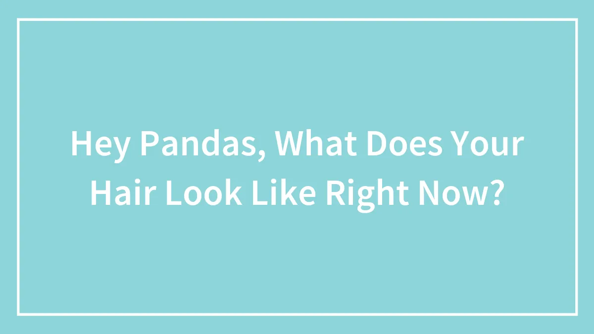 Hey Pandas, What Does Your Hair Look Like Right Now?