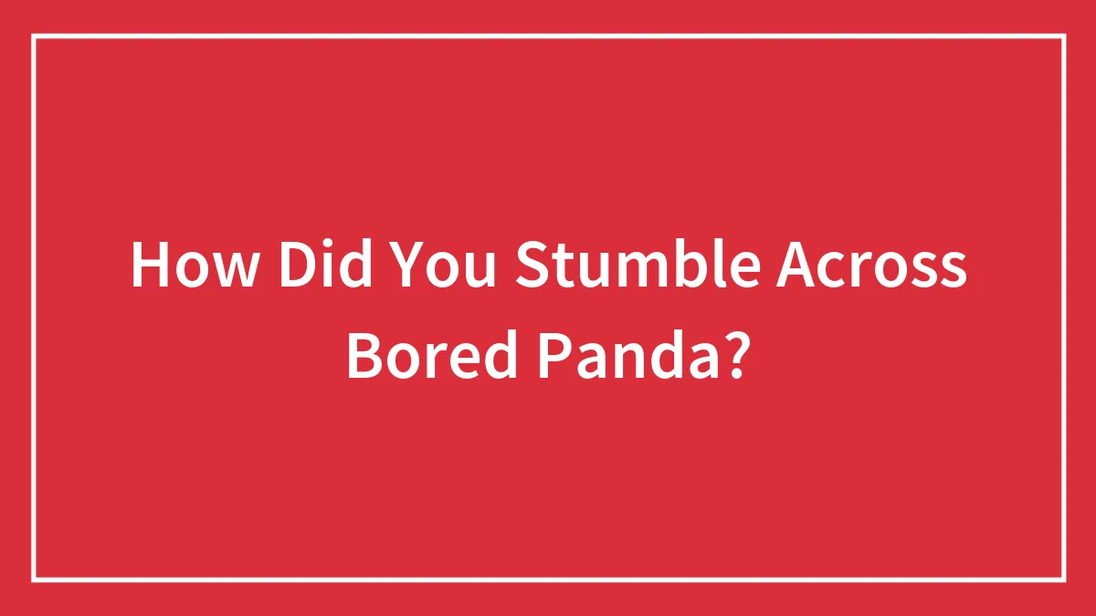 How Did You Stumble Across Bored Panda?