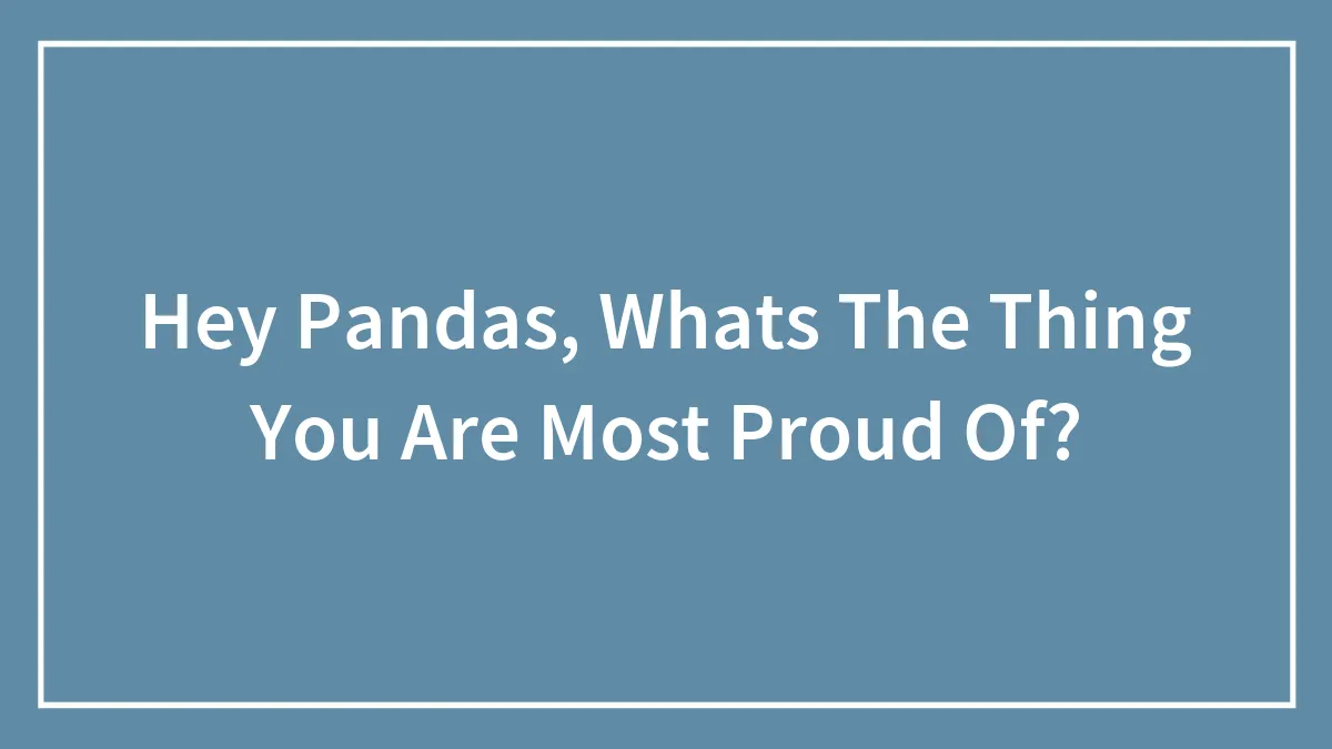 Hey Pandas, Whats The Thing You Are Most Proud Of?