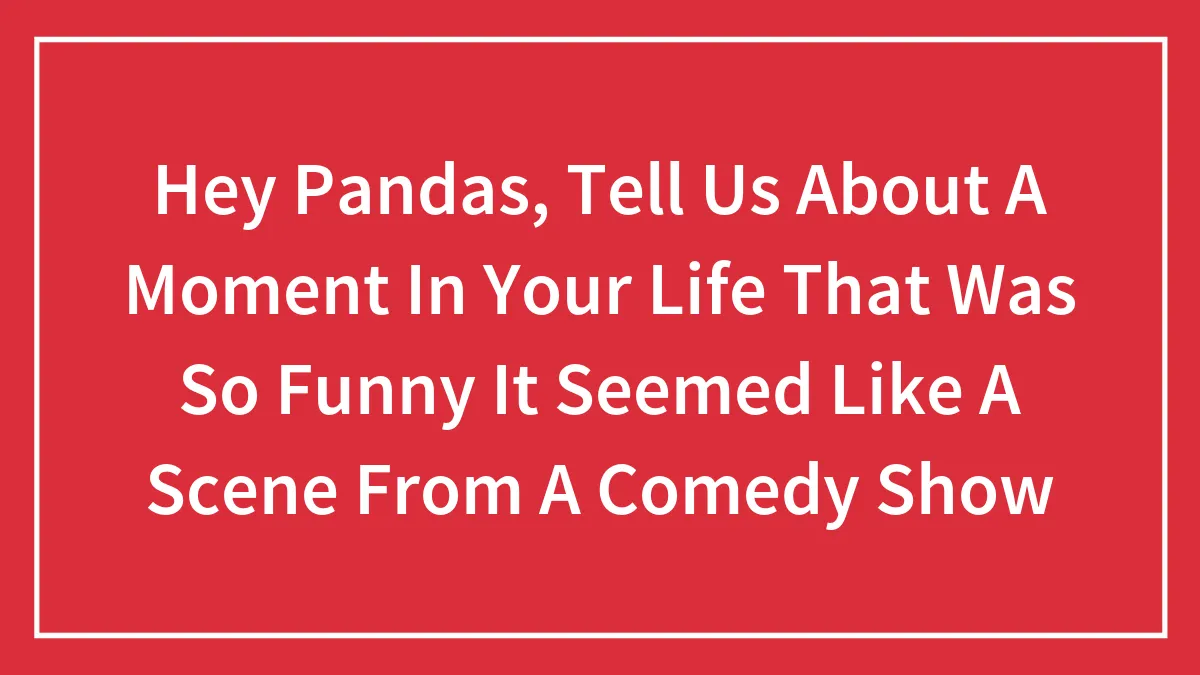 Hey Pandas, Tell Us About A Moment In Your Life That Was So Funny It Seemed Like A Scene From A Comedy Show (Closed)