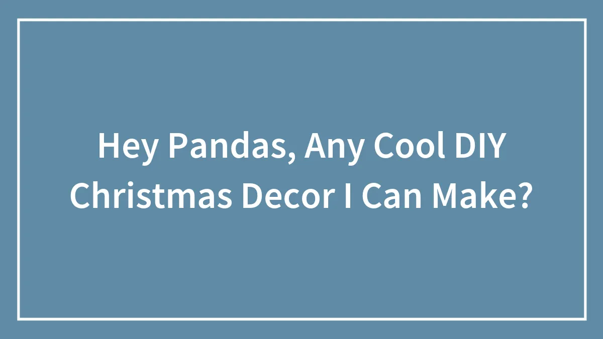Hey Pandas, Any Cool DIY Christmas Decor I Can Make?