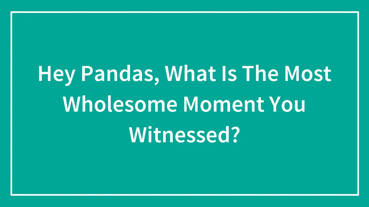 Hey Pandas, What Is The Most Wholesome Moment You Witnessed? (Closed)
