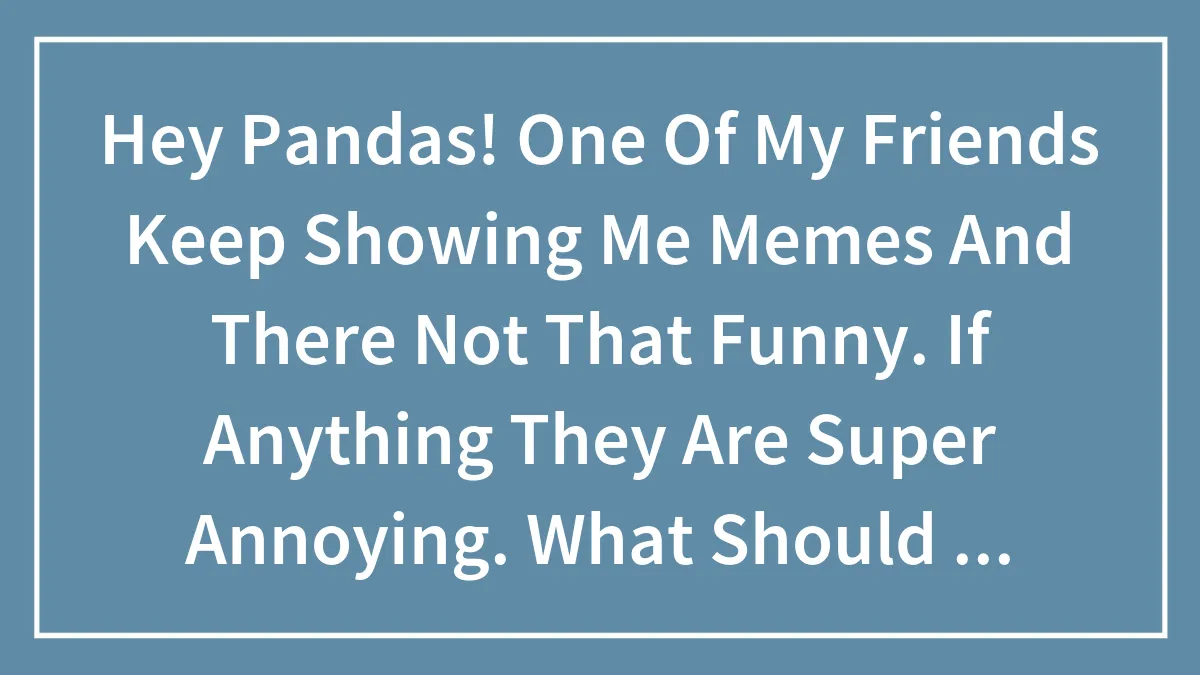 Hey Pandas! One Of My Friends Keep Showing Me Memes And There Not That Funny. If Anything They Are Super Annoying. What Should I Do?