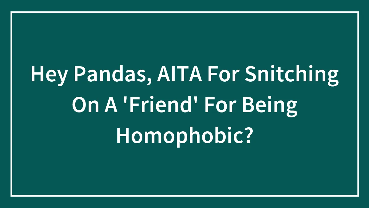 Hey Pandas, AITA For Snitching On A 'Friend' For Being Homophobic? (Closed)