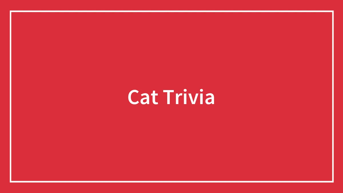 79 Cat Trivia Questions For A Good Evening’s Fun