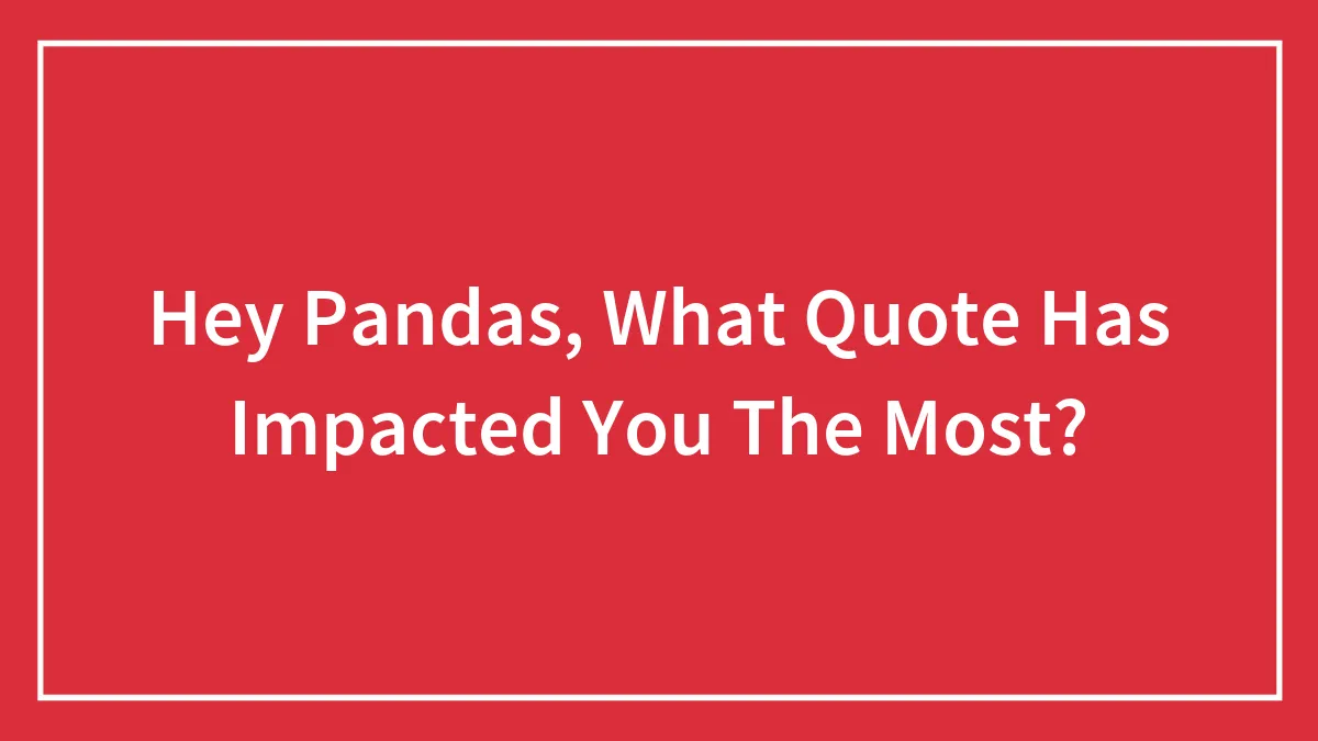 Hey Pandas, What Quote Has Impacted You The Most?