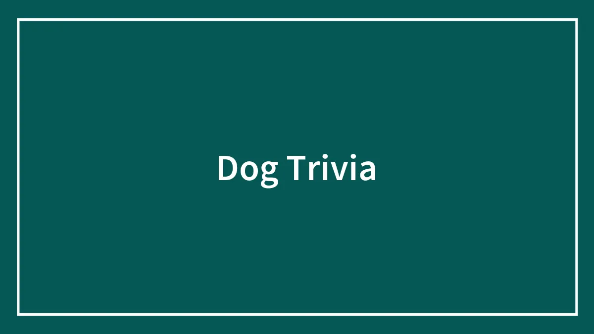 Fun Dog Trivia About All The Good Bois And Gals