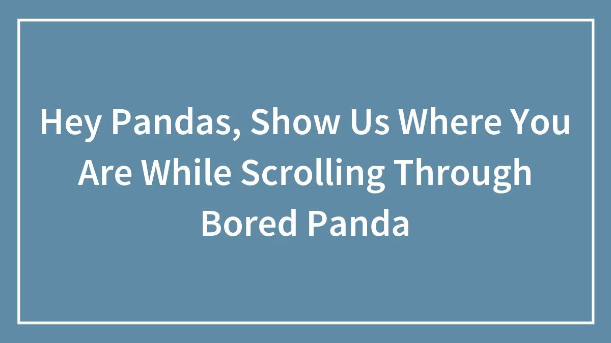 Hey Pandas, Show Us Where You Are While Scrolling Through Bored Panda (Closed)