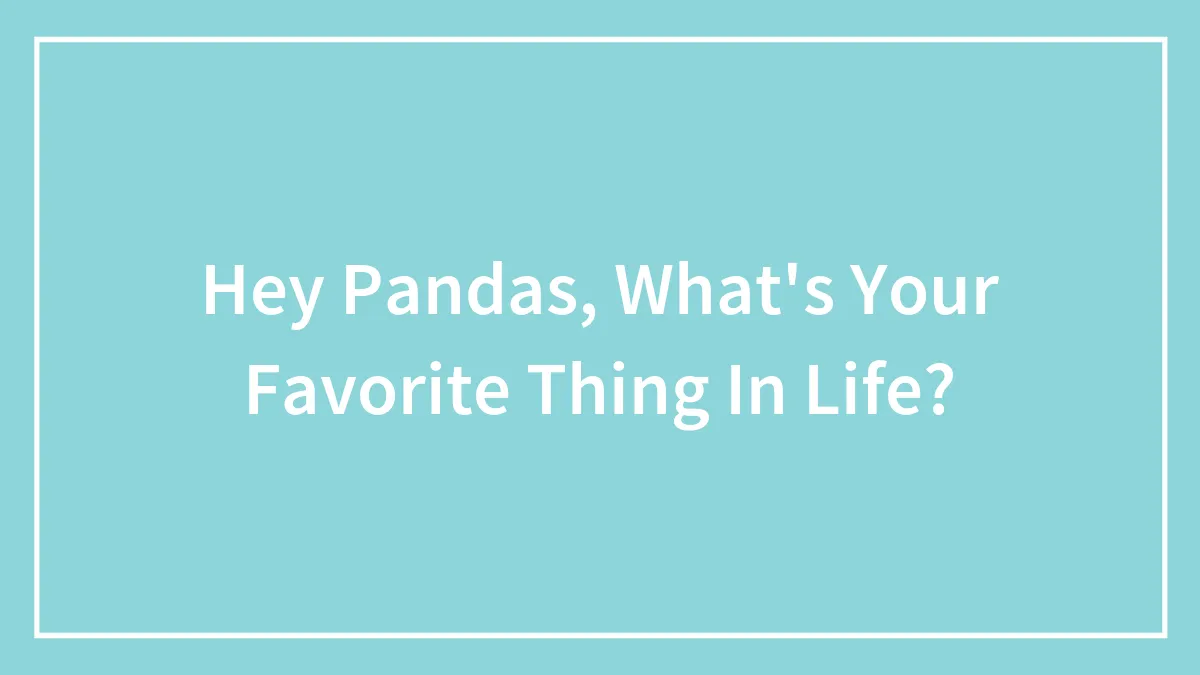 Hey Pandas, What's Your Favorite Thing In Life? (Closed)