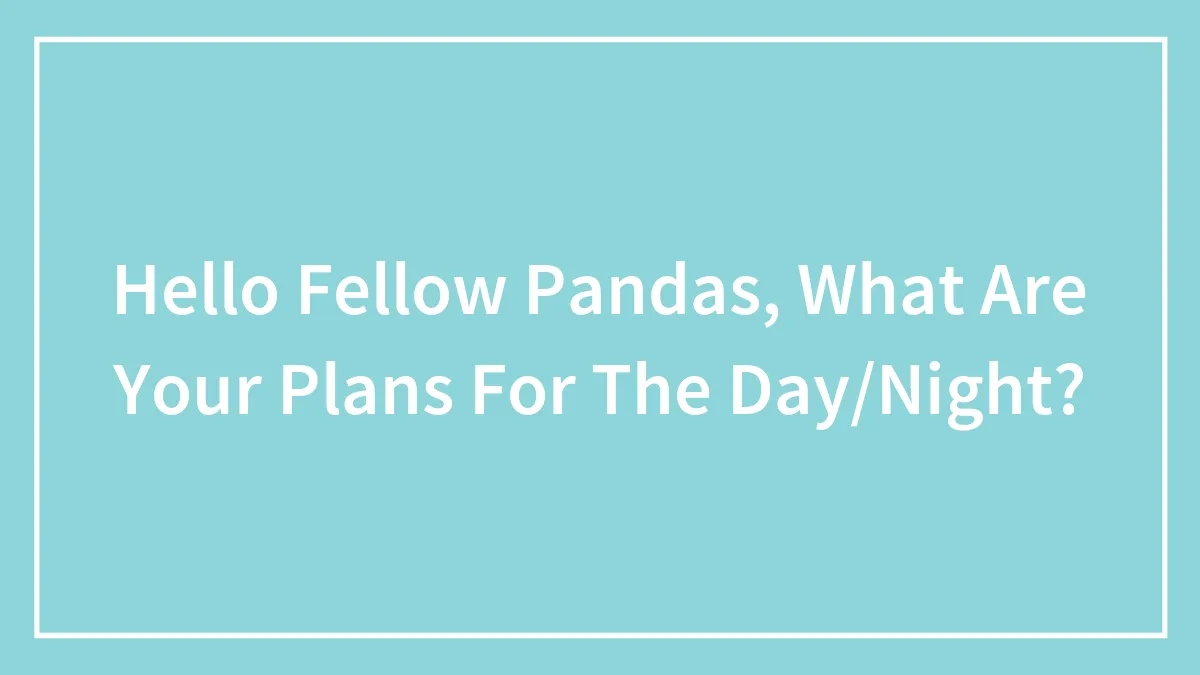 Hello Fellow Pandas, What Are Your Plans For The Day/Night?
